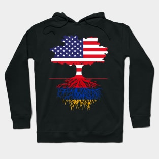 American Grown Armenian Roots Hoodie